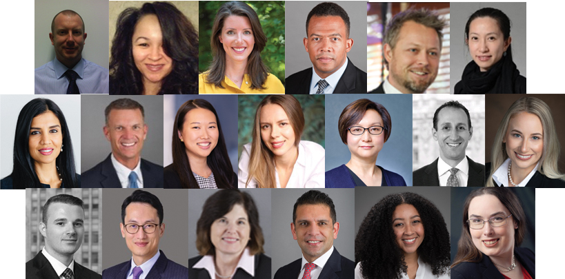 The Global DEI Council