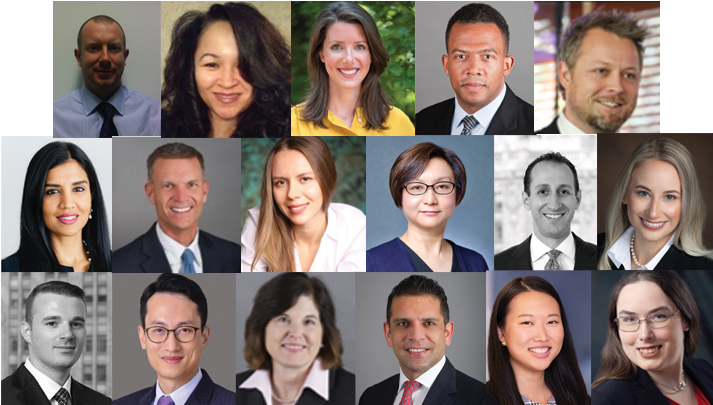 The Global DEI Council